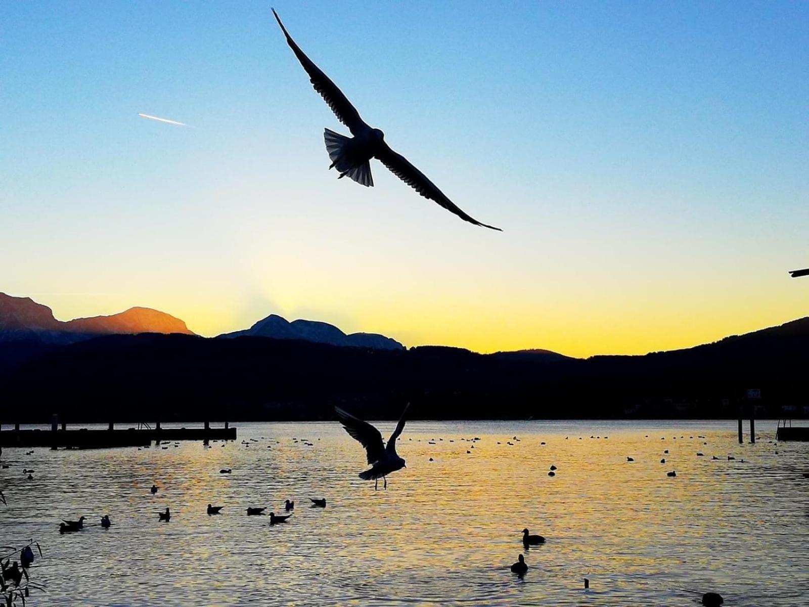 Seepanorama An Der Esplanade 1 Gmunden Luaran gambar