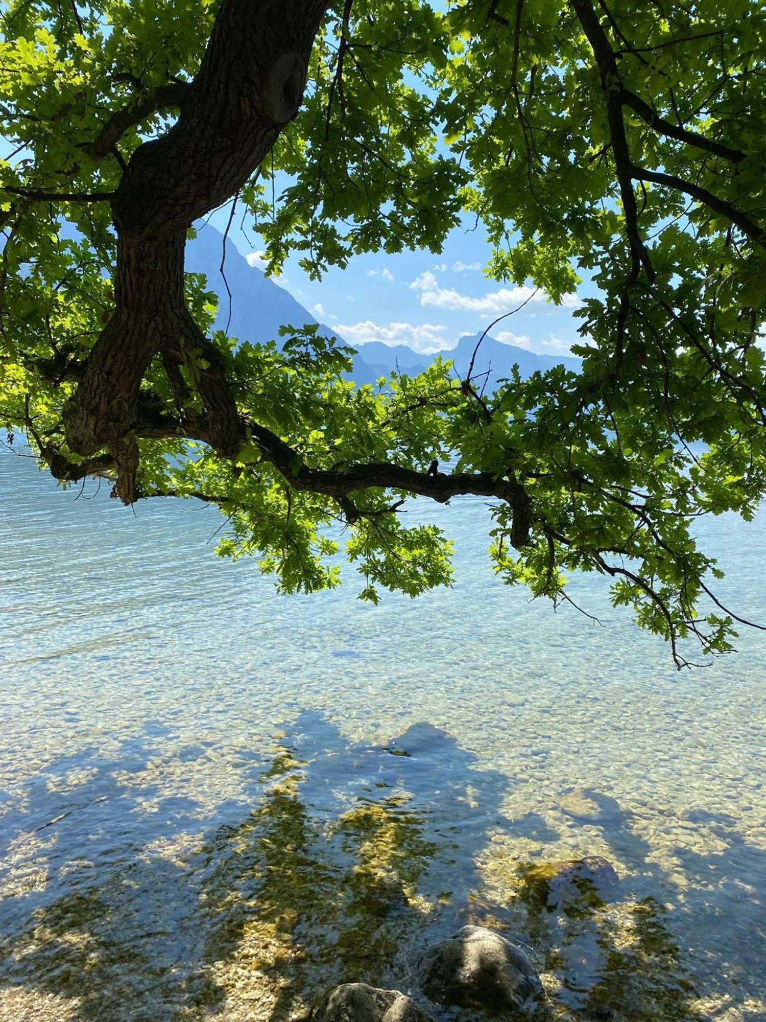 Seepanorama An Der Esplanade 1 Gmunden Luaran gambar